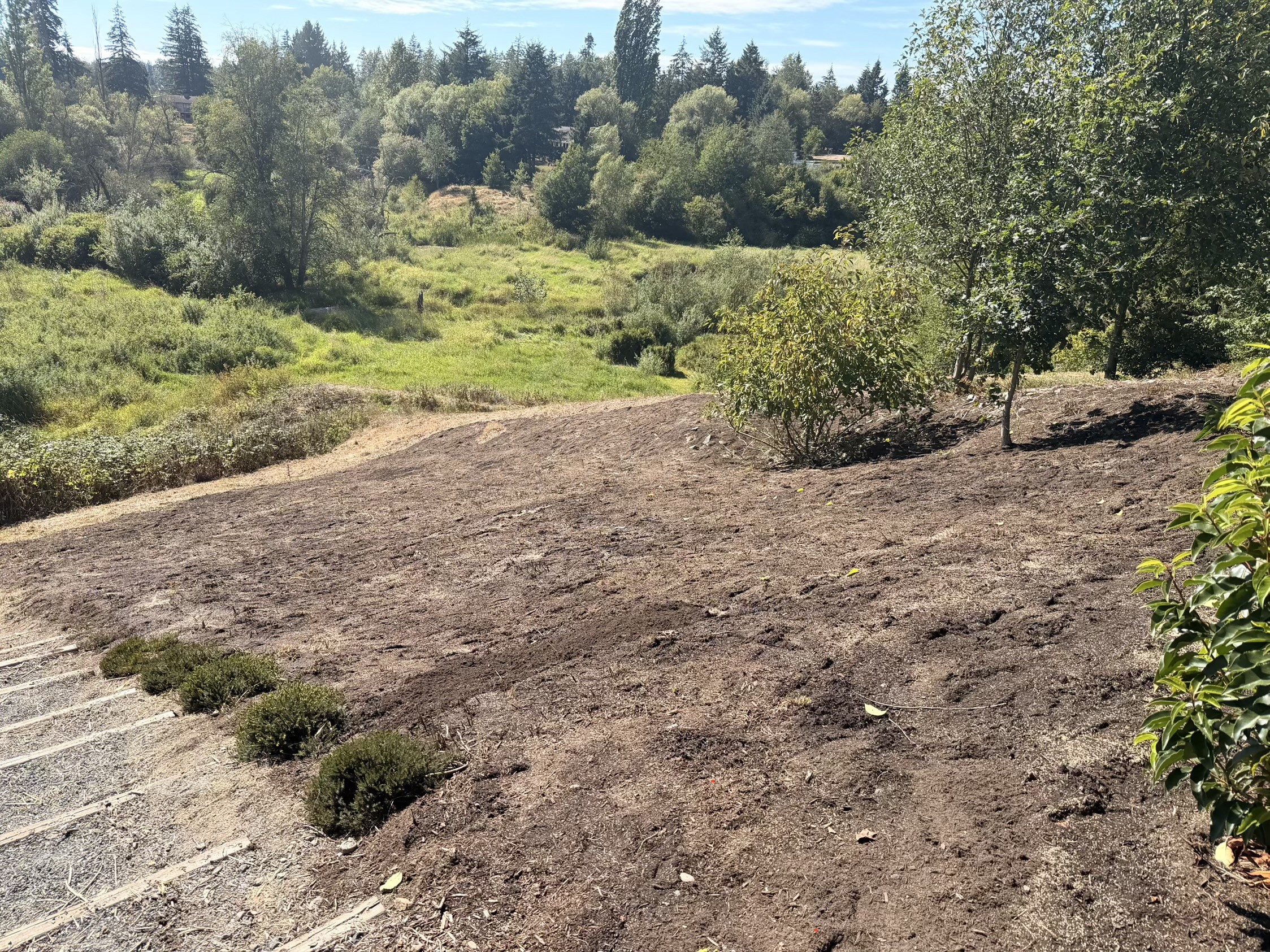 The same ground cleared and topped with fresh soil, valley visible behind