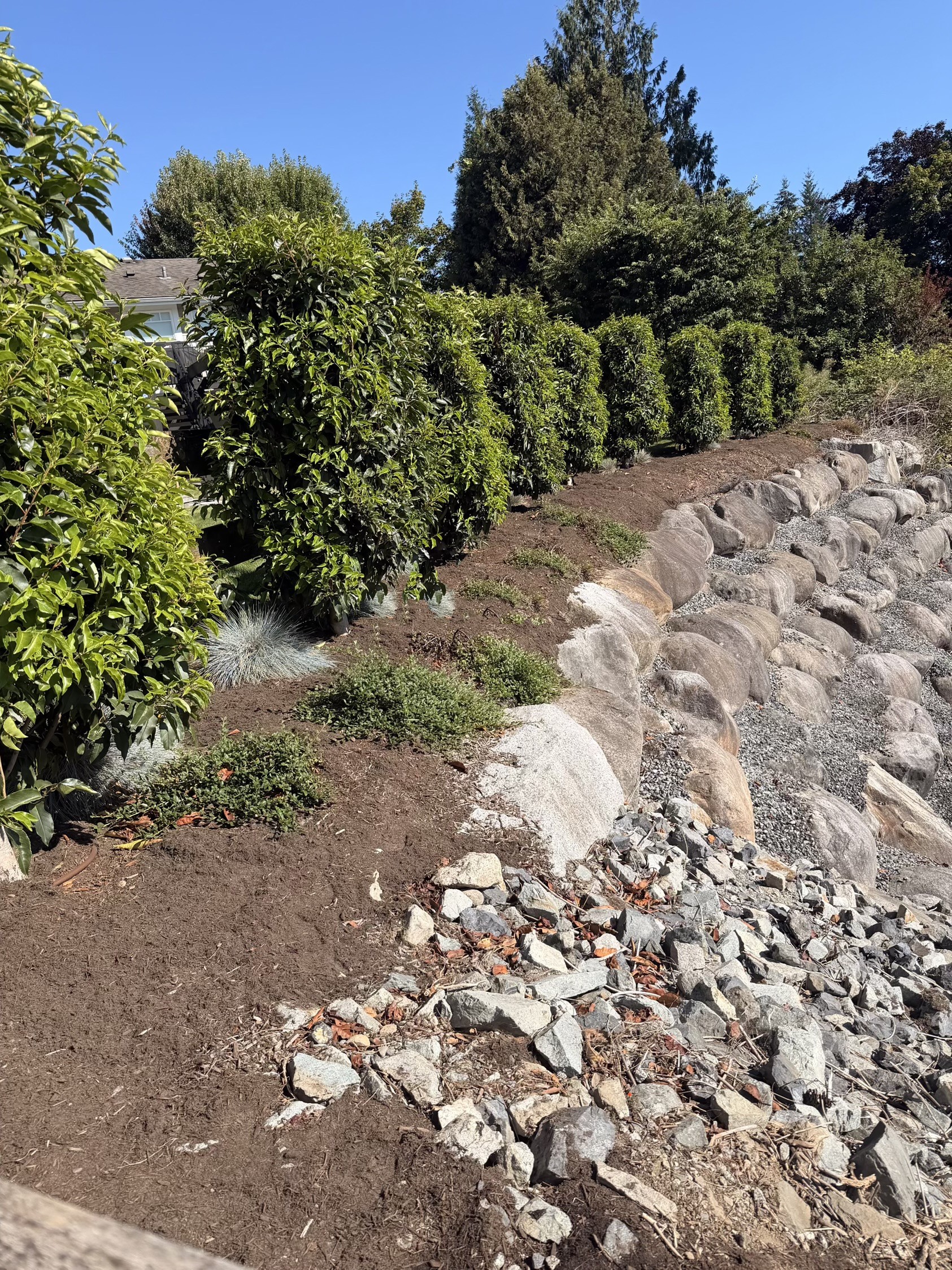 Finished slope planting with fresh beds and a rock swale