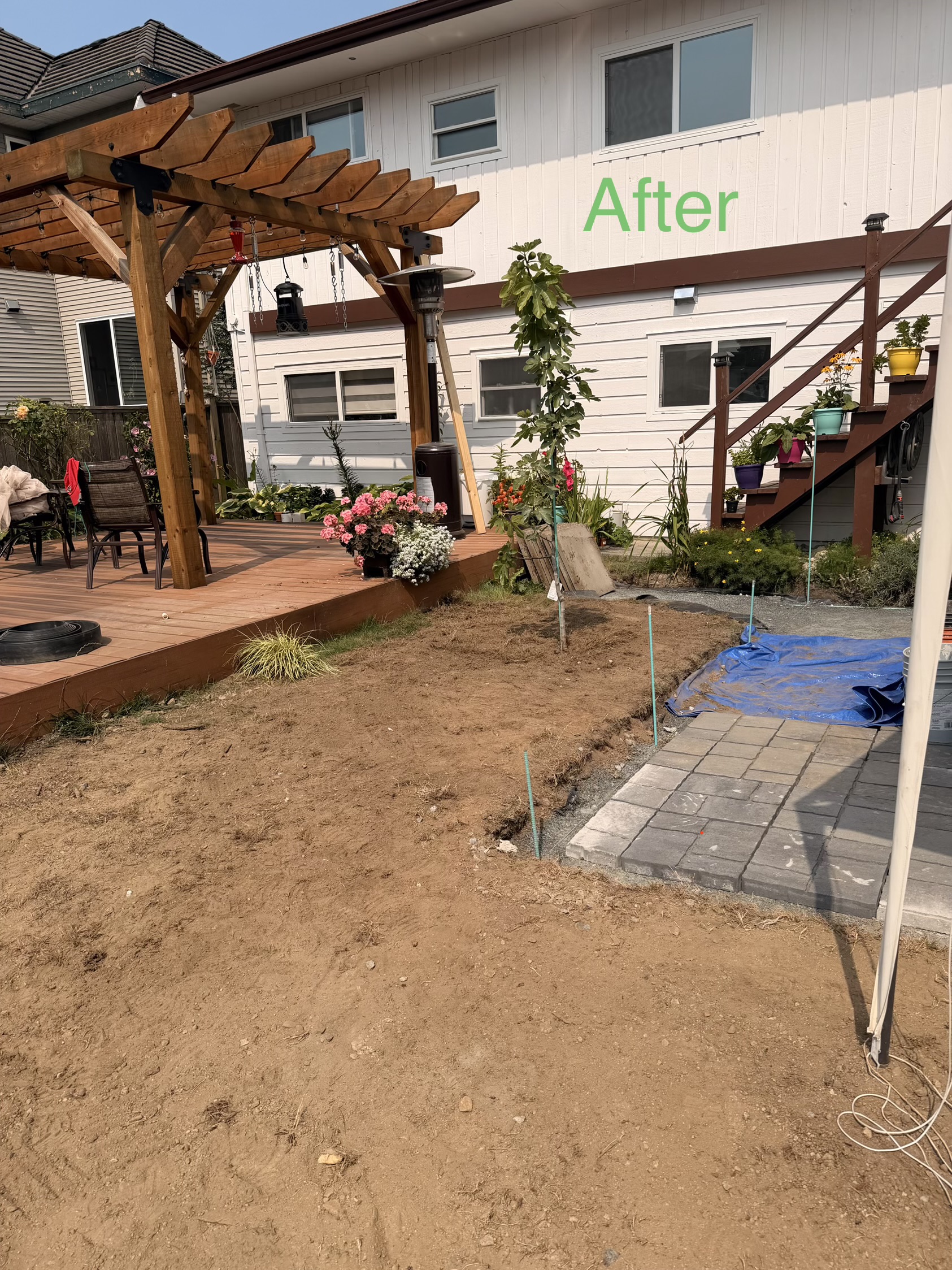 Cedar pergola over a finished deck beside new paver work