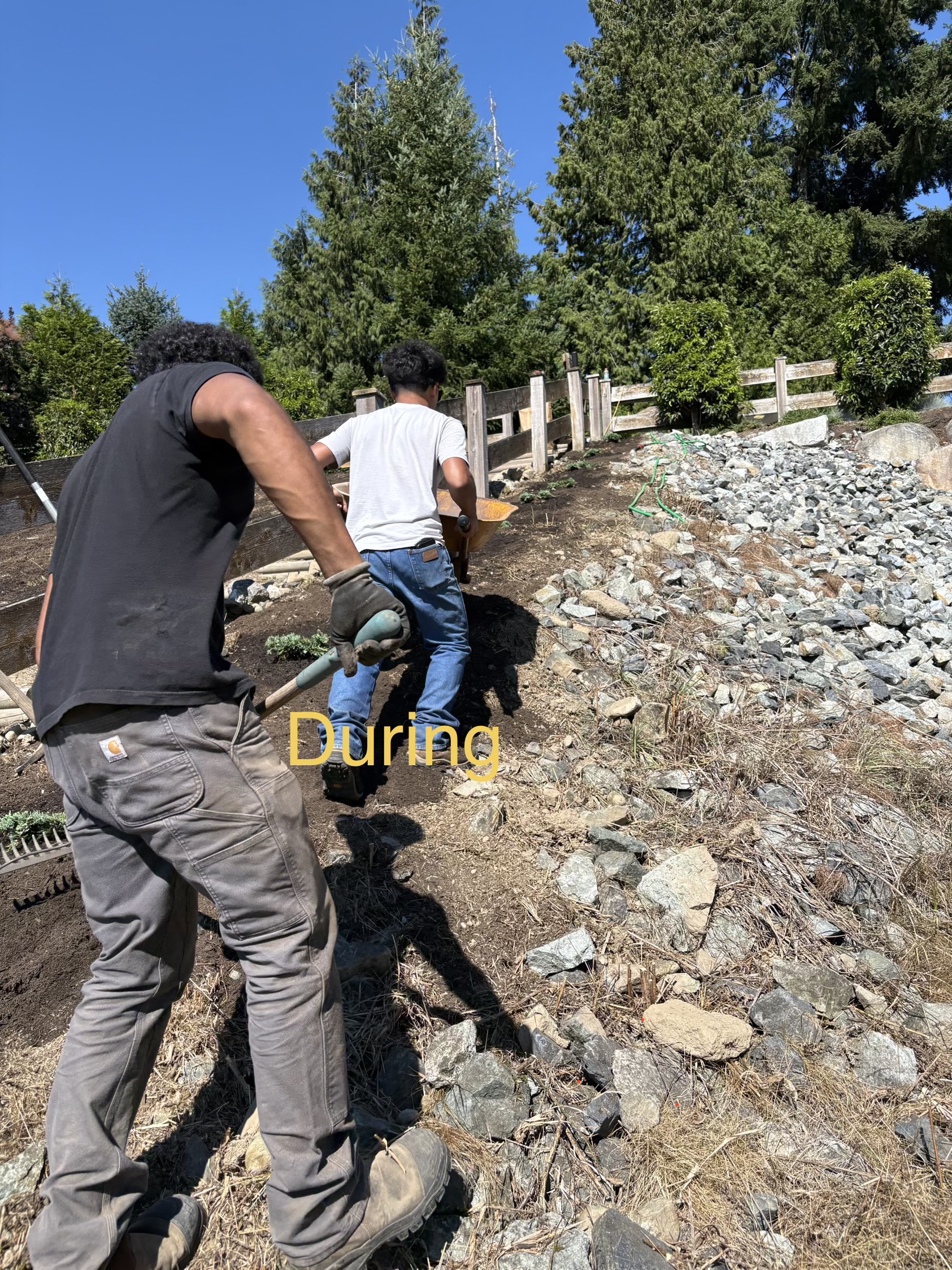 Crew spreading soil by hand across the cleared slope