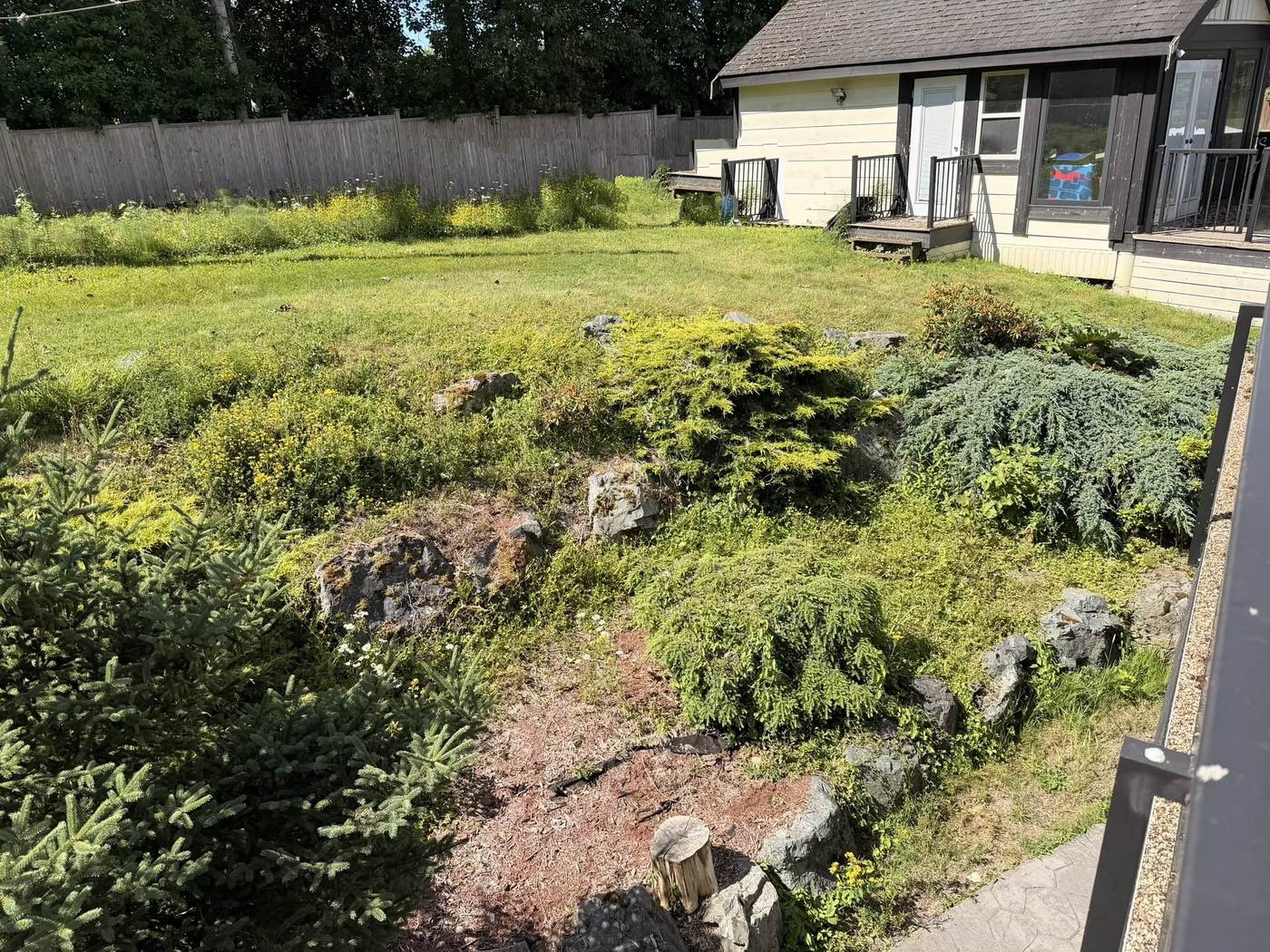 Overgrown rock garden buried under weeds